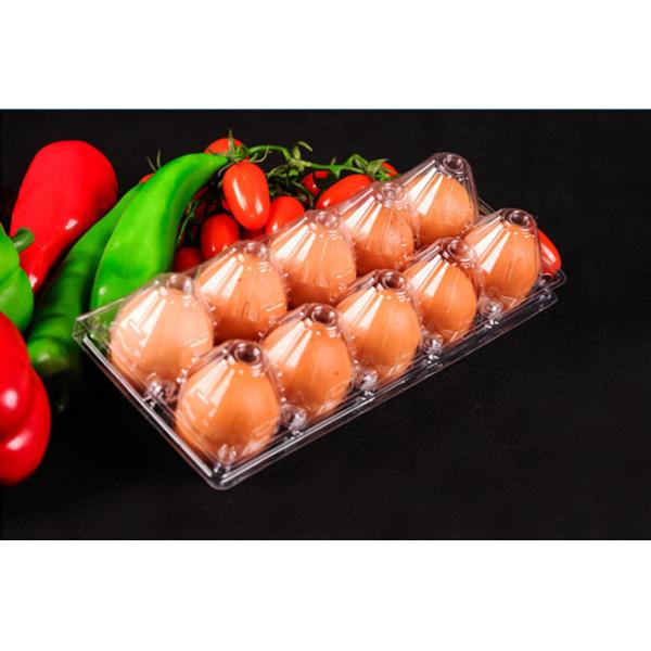 10 Cavities Clear Plastic Egg Cartons PET Disposable Egg Plastic Box Clear