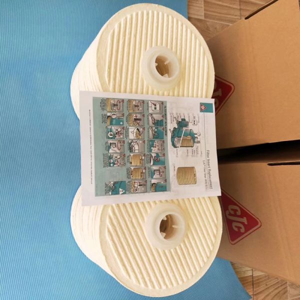 A38/20 3μM CJC Filter Insert OEM For Hydraulic Stations 99% Filter rating
