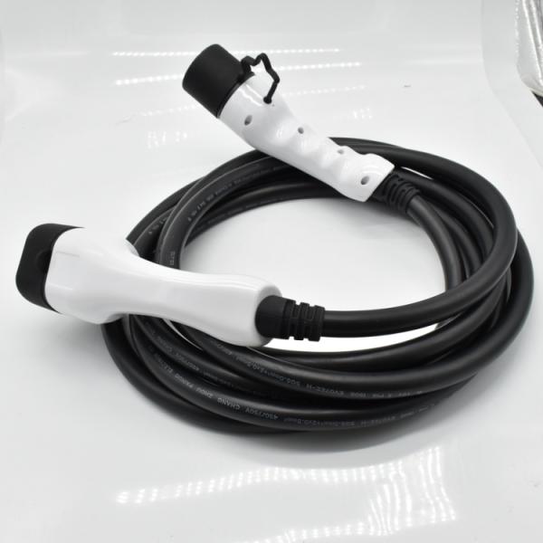 250V 32A Double Headed EV Charging Gun With 5m Copper PVC Cable