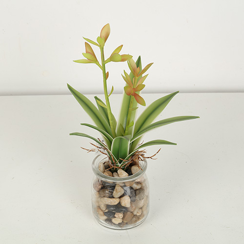 Mini Artificial Agave Bonsai With Glass Pot
