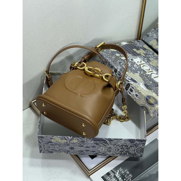 Выбитая телячья кожа сумки спорта Dior CD седловины золота сумки C'est Dior христианская