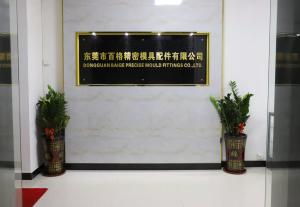 DongGuan BG Precision Mold Parts CO., Ltd