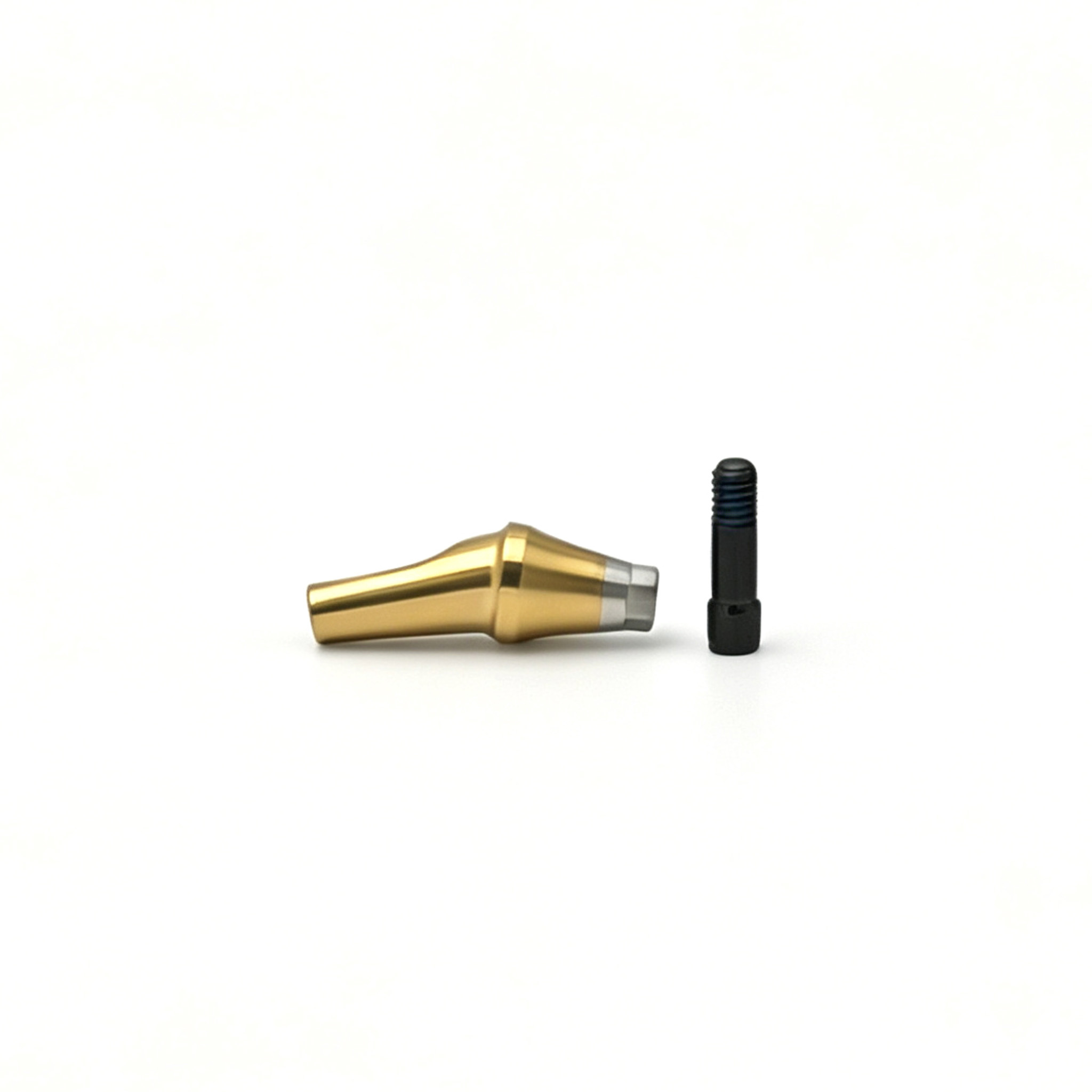 Customized TC4 Titanium Alloy Angled Restoration Abutment with Screw