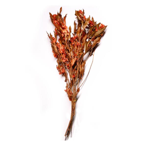 Natural Green Preserved Eucalyptus Leaves Real Touch Feel & Eco Friendly