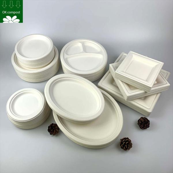 Custom Biodegradable Sugarcane Bagasse Pulp Fiber Fast Food Packing Paper Box Bio Degradable Takeaway To Go Container