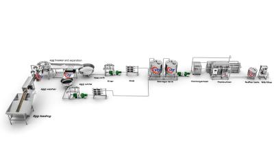 Egg Breaking And Separating Machine / Liquid Egg Process Equipment