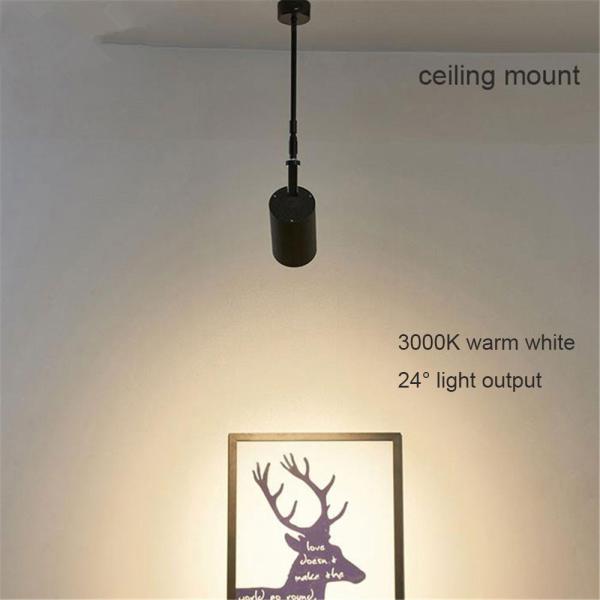Industrial Black White art wall spotlights long pole picture led light (WH-RC-02)
