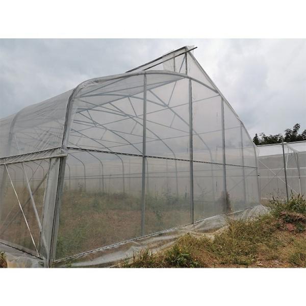Customizable Metal Pipe Frame Greenhouse With 200micron Plastic Film
