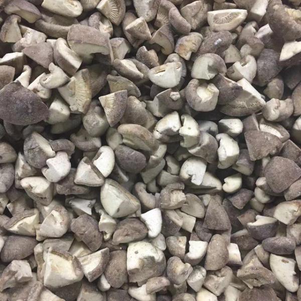 GFSI Grade A Quarter Cut IQF Frozen Shiitake Mushrooms