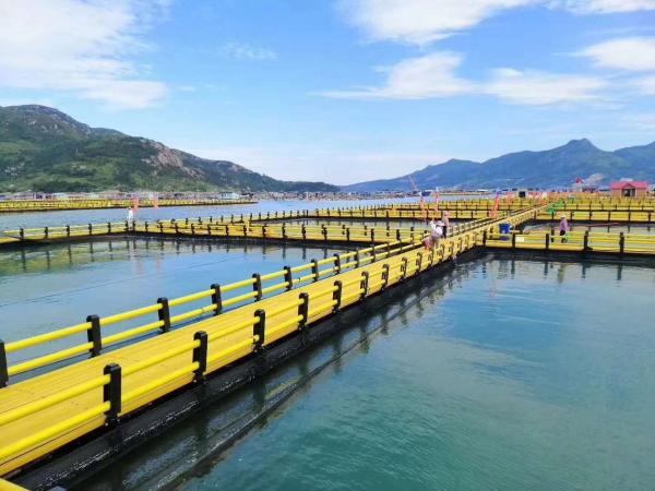 Black and Yellow HDPE Fishing Cage Floating for Farming Machinery Sell Well