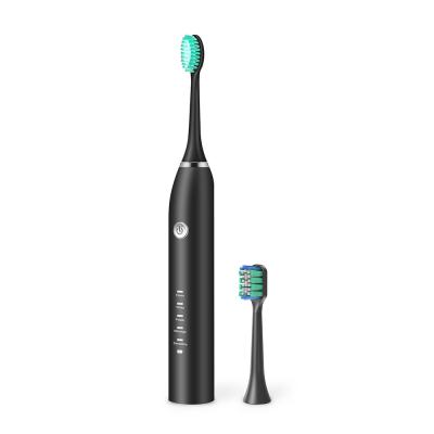 Sonic Battery Toothbrush sem fio, escova de dentes IPX7 elétrica impermeável