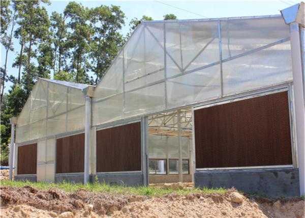 High Density Greenhouse Solar System Economical Planting Hot Dip Galvanized Steel Structure