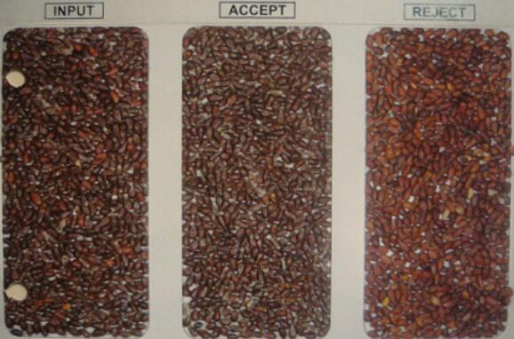 Seeds CCD Color Sorter Machine / Rice Sorting Machine With Low Carryover