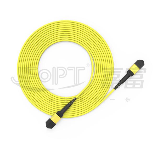 MPO Patch Cord SM 12 cores cable price optics cable fiber optic indoor outdoor fiber optic drop cable