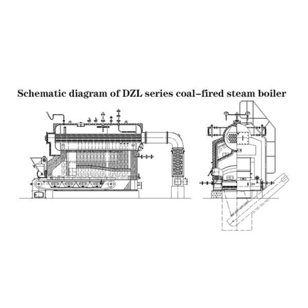 1.25Mpa 1.6Mpa 2.5Mpa Design Pressure Automatic Biomass Fired Steam Boiler For Power Plant