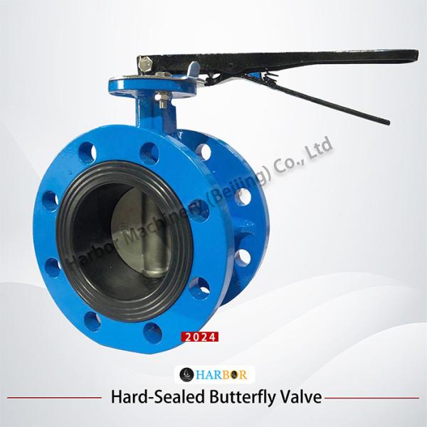 Precision-Machined Handle Ductile Iron Flanged Butterfly Valve D41X-16Q with EPDM Seal
