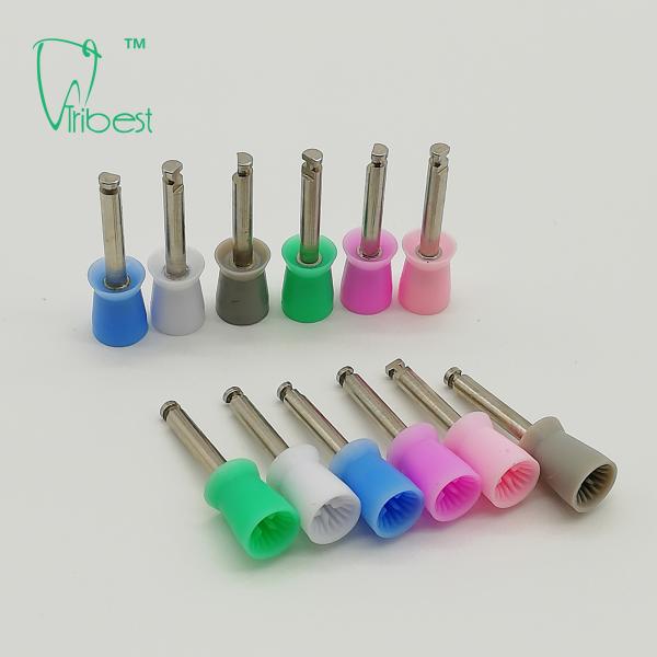 Teeth Cleaning Dental Polishing Kit , Latch Type Dental Prophy Cups