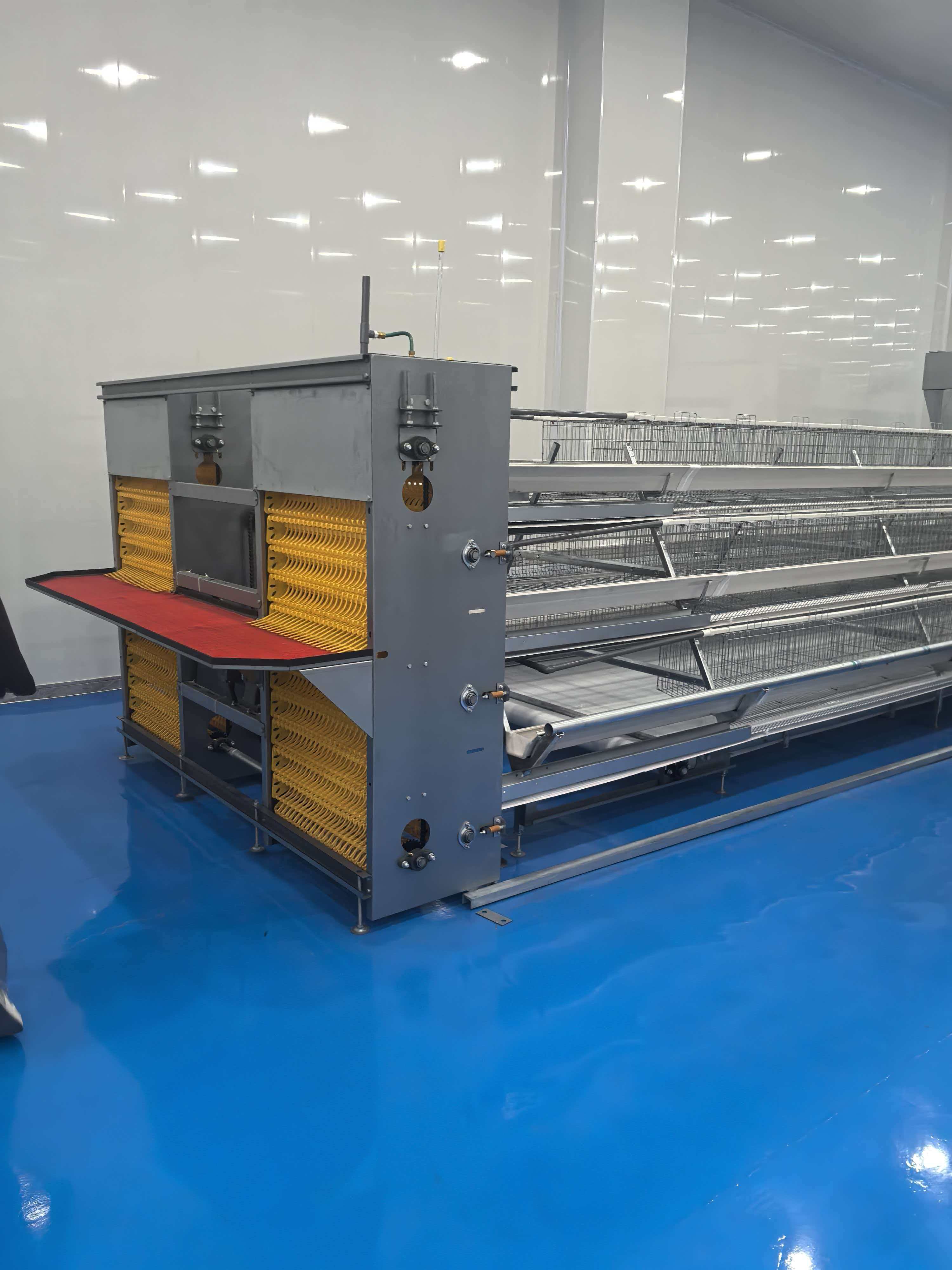 A type layer cages