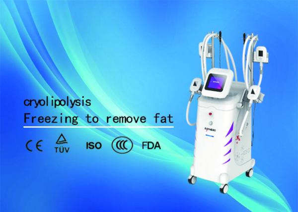 Professional Cryolipolysis Fat Freeze Slimming Machine 4 Handles Available
