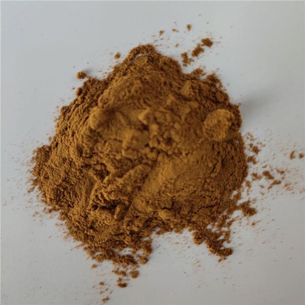 China Wholesale Best Selling Products Oregano Extract