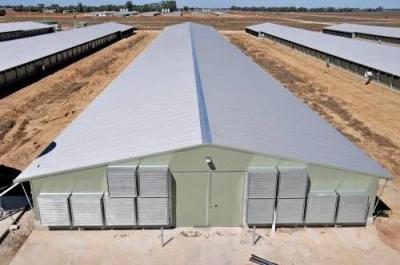 Prefabricated Steel Structure Poultry House Q355 Custom Sizes
