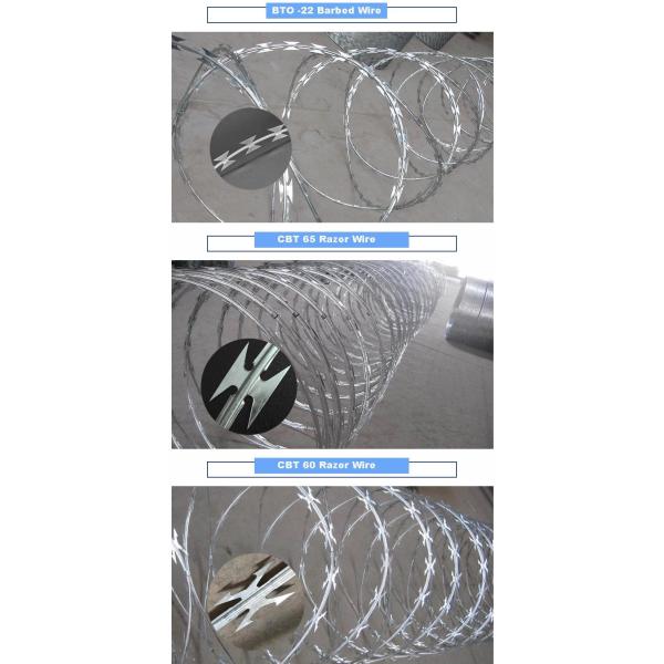 Galvanized Pvc Stainless Steel Concertina Razor Barbed Tape Bto-22 Bto-60 Cbt-65 In Fencing