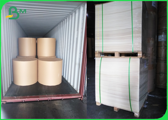 Recyclable Paper Material Woodfree Paper 80gsm 100gsm 51 - 95cm rolls size Ресиклабле бумажная материальная бумага 80гсм 100гсм Воодфре размер 51 до 95км Ролльс