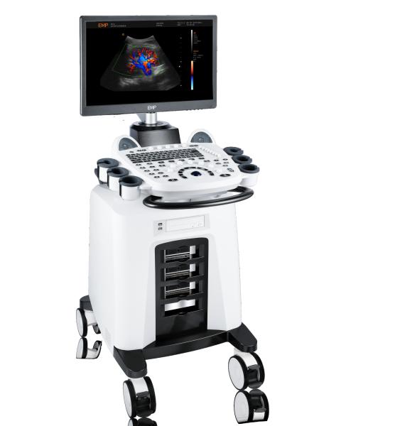 Clinical Imaging Transcranial Color Doppler Ultrasound Machine System With 3 Probe Ports
