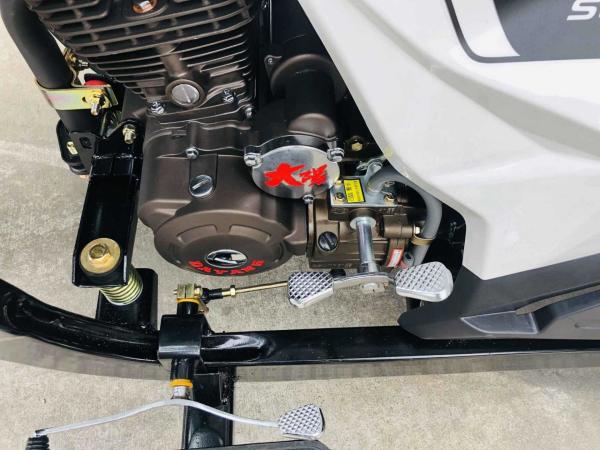 Front Drum Rear Drum Brake System Hydraulic High Power Three Wheel Van Cargo Motorcycle for 1 Passenger