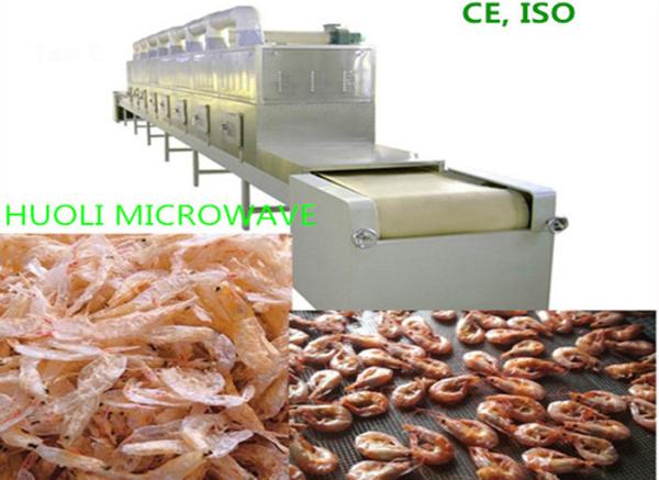 Conveyor Belt Food Dryer Stainless Steel Food Microwave Drying Oven