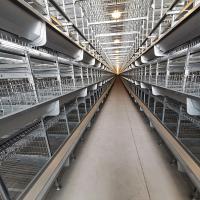 Rede de arame de aço galvanizada gaiola da galinha da camada do quadro de 4 pneus H