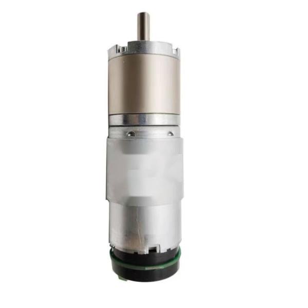 Motor de ferramentas elétricas 24V 3000RPM 0,6A 9-35W para ferramentas elétricas de jardim