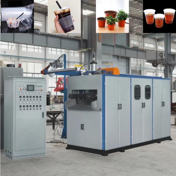 Automatic Plastic Cup Making Machine 420x730mm with PLC Control