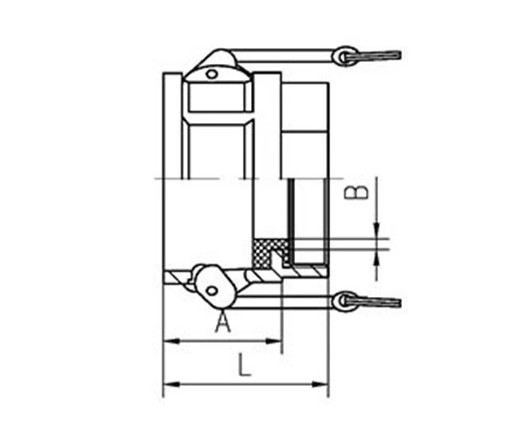 G2 Thread PTFE Lined Pipe Fittings 2 Inch Camlock Fittings D Adaptor