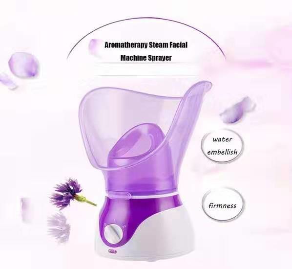 home beauty instrument steaming machine face - sprayer heating spray steamer