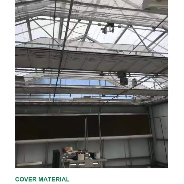 Сельскохозяйственные светочувствительные теплицы - идеальное решение для выращивания грибов