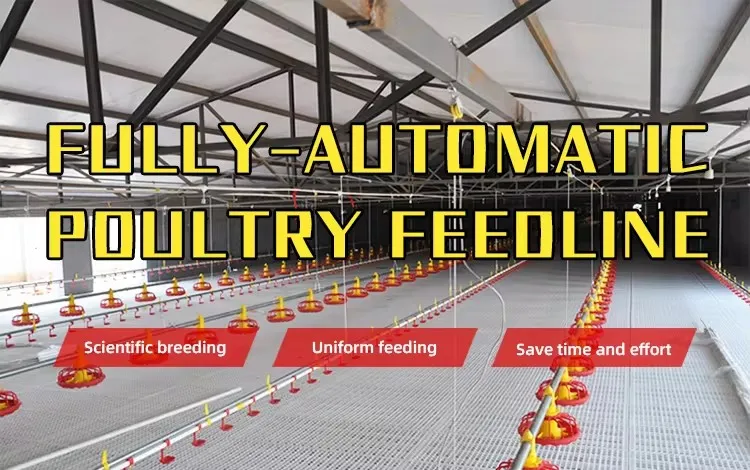 PP Material Automatic Poultry Feeding System Labor Saving For Chicken Care