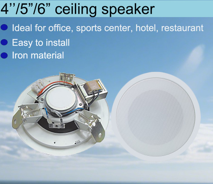 6W Ceiling Loudspeaker 90dB Sensitivity Ceiling Mount Subwoofer