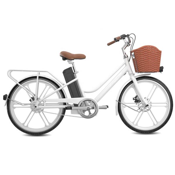 0.25kw Women'S Electric Cruiser Bike , Multipattern Ladies Electric Road Bike