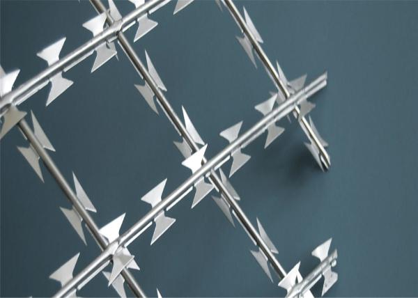 Welded Razor Wire Mesh Ribbon Fence