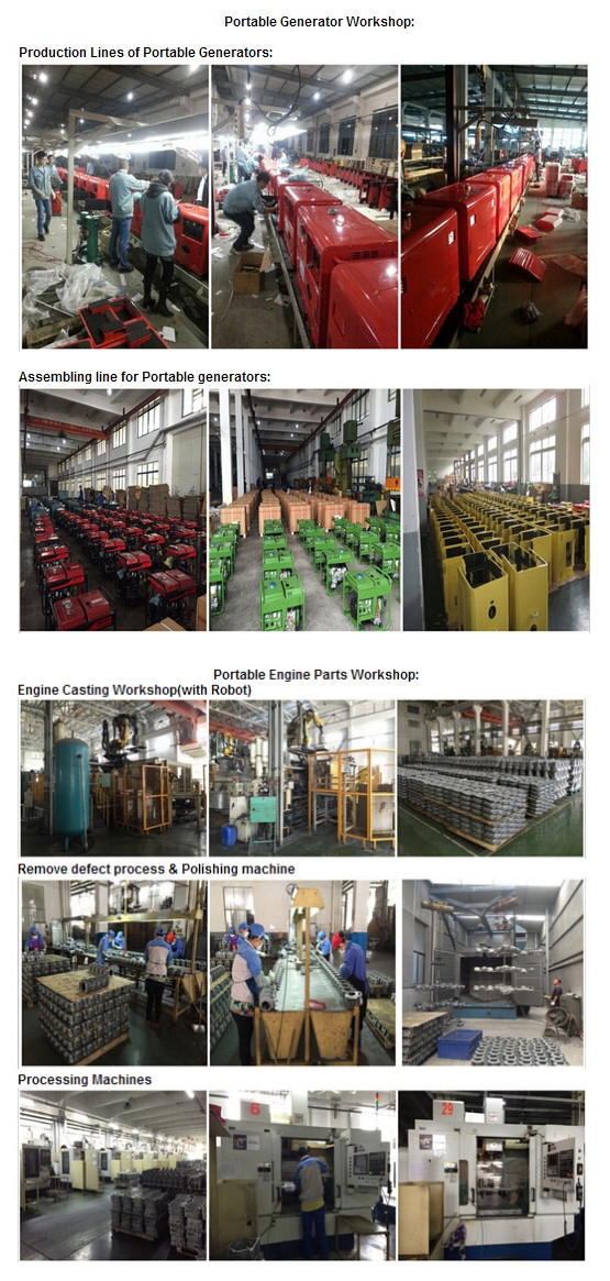 8KW/10KVA тепловозный резервный генератор 3000rpm/3600 rpm, 20A генератор биодизеля 3 участков