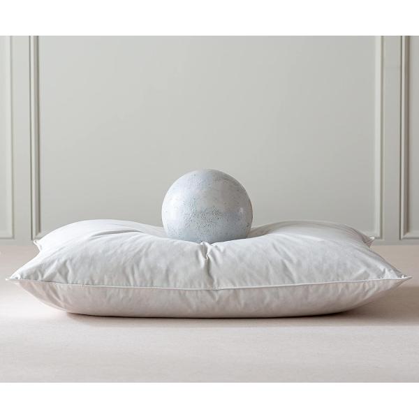 NECK Part Luxury Goose Feathers Down Pillow for Sleeping Hotel Collection Queen Size