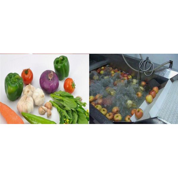 Fresh Fruit And Vegetable Processing Machinery Cleaning Equipment High Efficiency