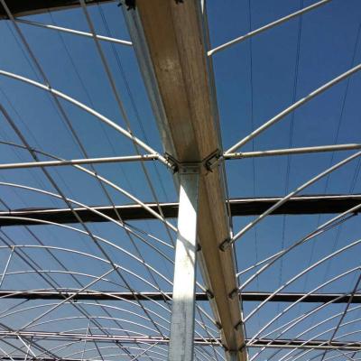 Large Hot Galvanized Steel Structure Gutter Connected Greenhouse with Height 3.0-4.8m