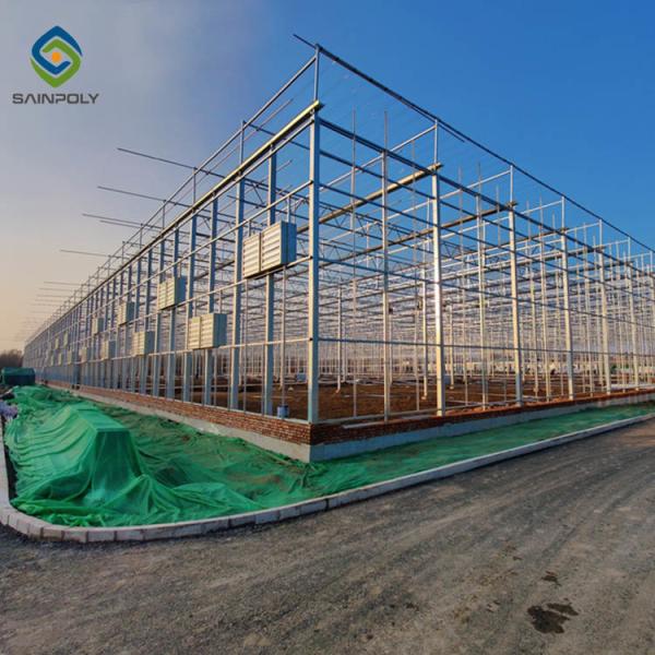 Wind Galvanized Steel 12m Multi Span Glass Greenhouse