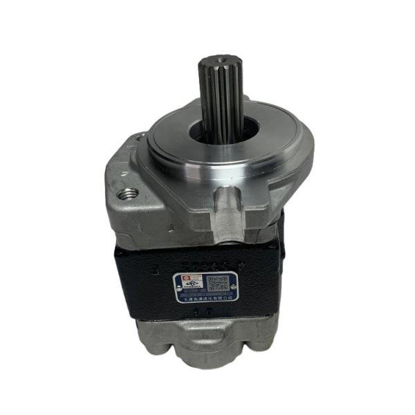 Steel Material Gear Pump with Long Working Life for CPC(D)20-35 Forklift Hydraulic System