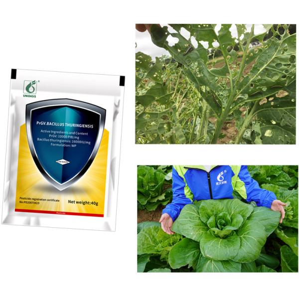 100% Organic Agriculture Pesticides PrGV Bt For Vegetable Plants Diamond Back Moth Killing