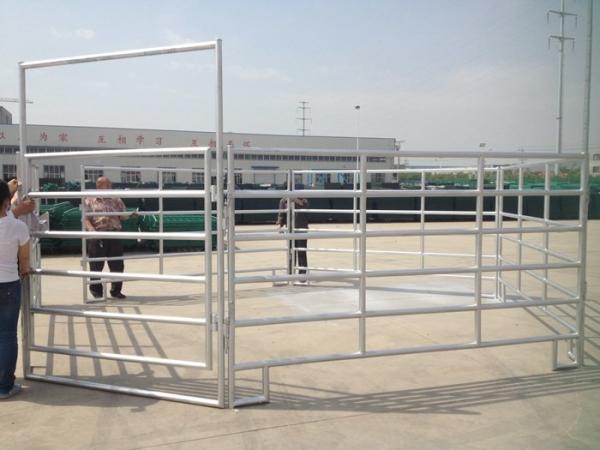 A tubulação resistente de H1.7m encheu a cerca Gates da exploração agrícola