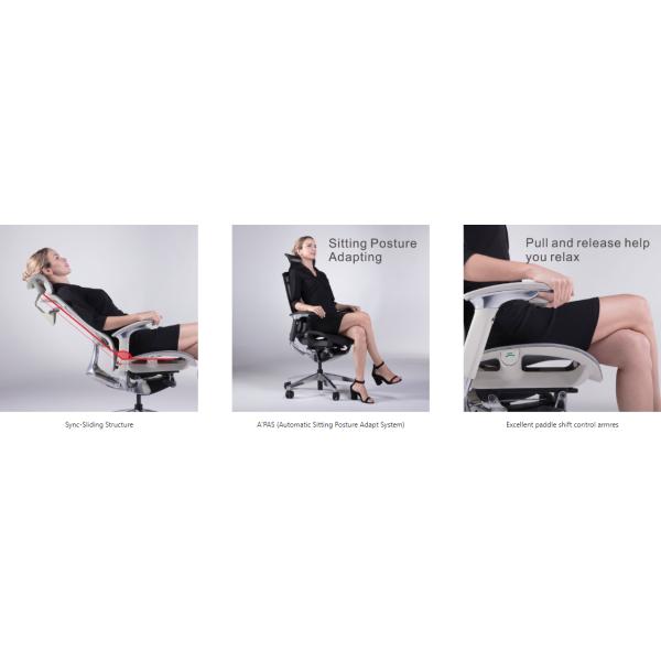 IFIT Black Ergonomic Desk Chair With Lumbar Support Adjustable Tilting Mesh Swivel