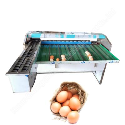 4000pcs/H Chicken Egg Sorter Machine 200w Automatic Egg Grading Machine By Weight